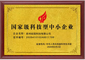国家级科技型中小企业